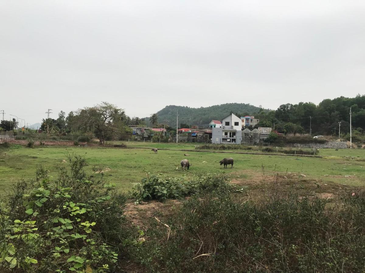 Bee Lucky Homestay Xuan Dam Exteriér fotografie